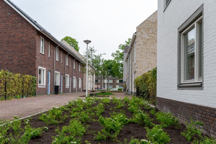 Groen hofje tussen rijwoningen in lichte en rode baksteen met lamppaal en bankje — Ontwikkeling De Vijf van Vorst Eindhoven
