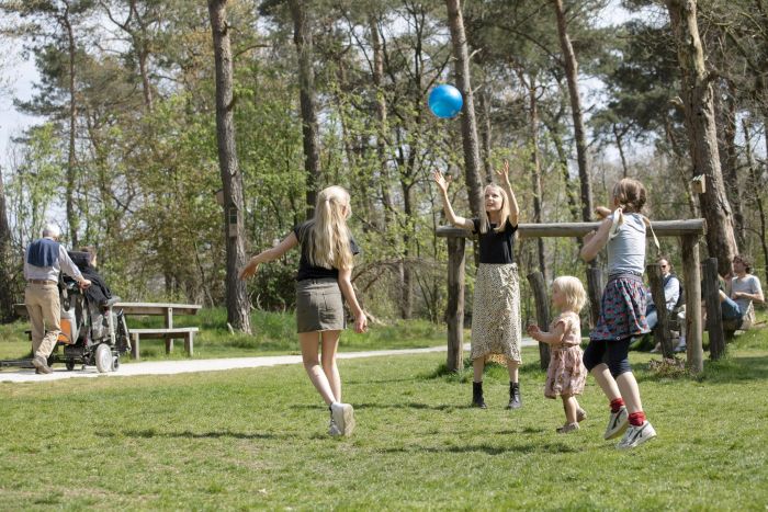 Kinderen spelen met een blauwe bal in een groene parkweide, omringd door bomen; op de achtergrond zitten mensen bij picknickbanken en rijdt een scootmobiel voorbij.