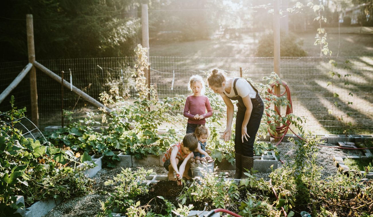 Gezellige gezinsmoestuin met spelende kinderen en jonge planten in buitengebied