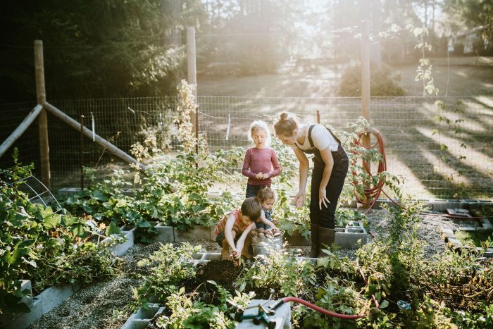 Gezellige gezinsmoestuin met spelende kinderen en jonge planten in buitengebied