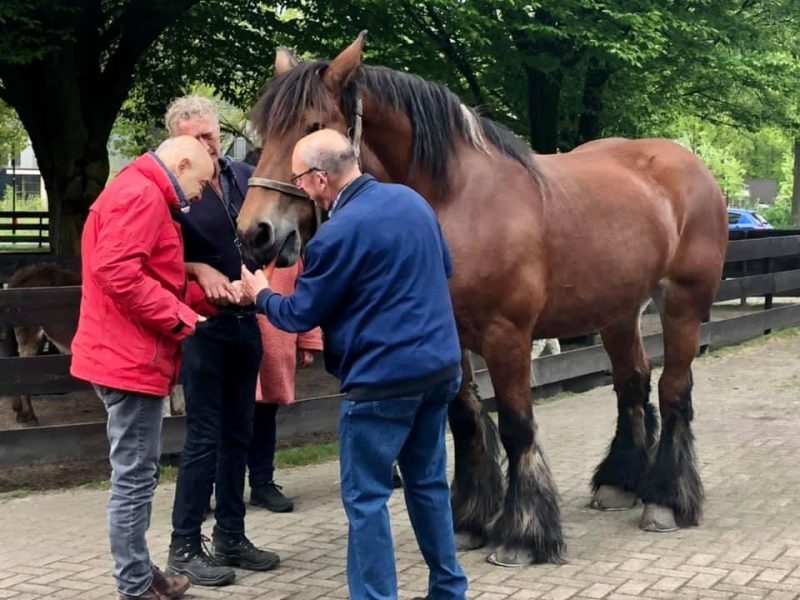 Kloostervelden - Isabel