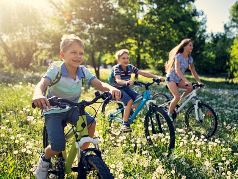 Drie kids op fietsen in lentegras met bloeiende pluisbollen, recreatief buiten — Ontwikkeling Kluisstraat Ommel
