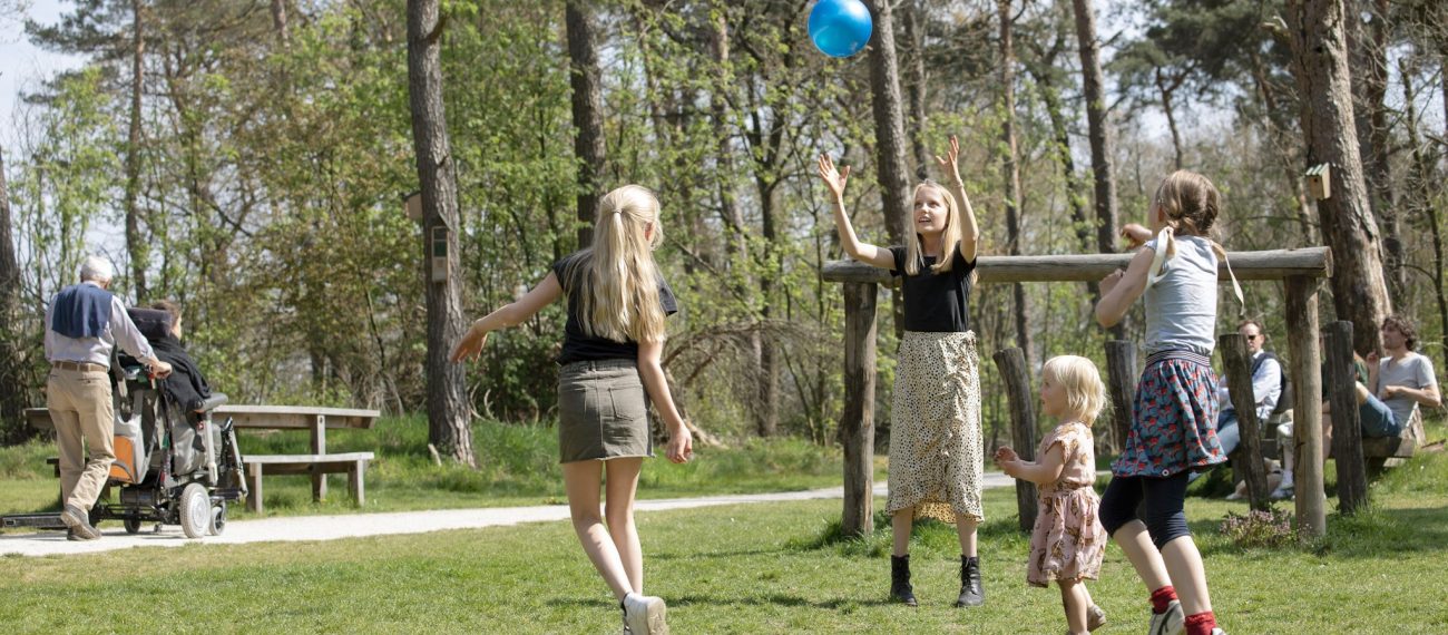 Kinderen spelen met een blauwe bal in een groene parkweide, omringd door bomen; op de achtergrond zitten mensen bij picknickbanken en rijdt een scootmobiel voorbij.