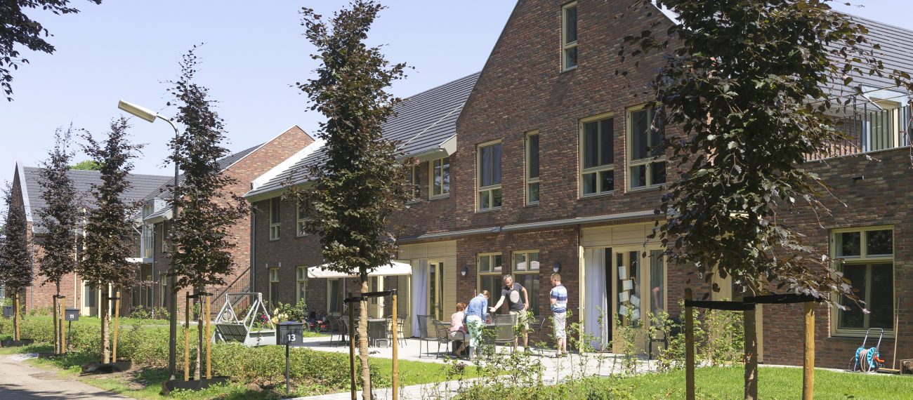 Rijtje moderne bakstenen woningen met tuinen en jonge bomen langs een zonnig pad.