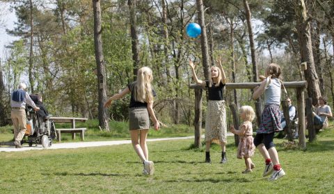 Kinderen spelen met een blauwe bal in een groene parkweide, omringd door bomen; op de achtergrond zitten mensen bij picknickbanken en rijdt een scootmobiel voorbij.