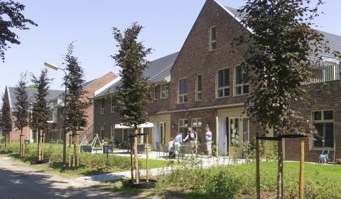 Rijtje moderne bakstenen woningen met tuinen en jonge bomen langs een zonnig pad.