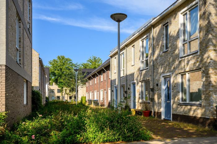 Woonstraatje met jonge beplanting, bakstenen gevels en hoge ramen bij voordeuren — Ontwikkeling De Vijf van Vorst Eindhoven