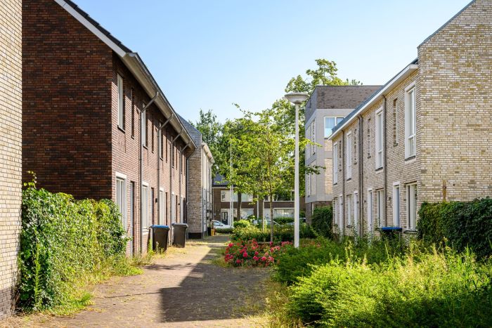 Tussenpad met rijwoningen in rode en lichte baksteen, lamppaal, boom en rozenperk — Ontwikkeling De Vijf van Vorst Eindhoven