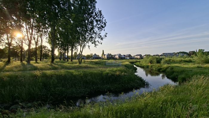 Groen landschap met watergang, bomenrij en nieuwbouwwoningen op de achtergrond
