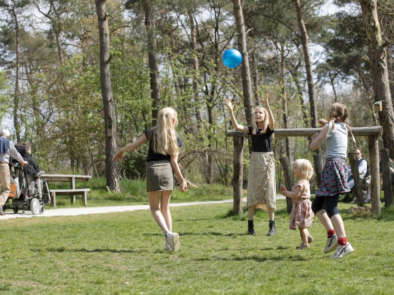 Kinderen spelen met een blauwe bal in een groene parkweide, omringd door bomen; op de achtergrond zitten mensen bij picknickbanken en rijdt een scootmobiel voorbij.