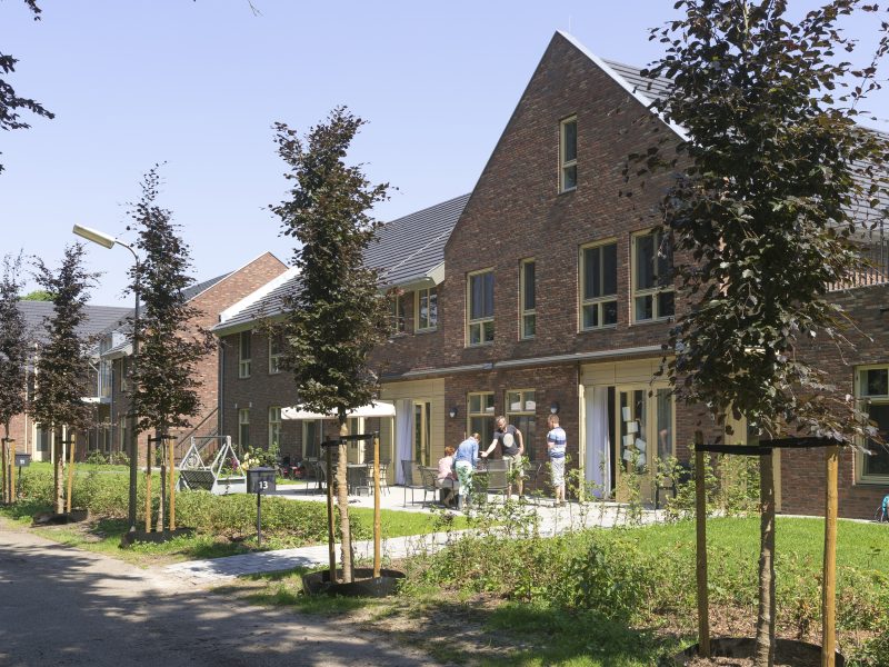 Rijtje moderne bakstenen woningen met tuinen en jonge bomen langs een zonnig pad.